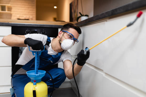 Best Pest Removal Services  in Lake Nacimiento, CA