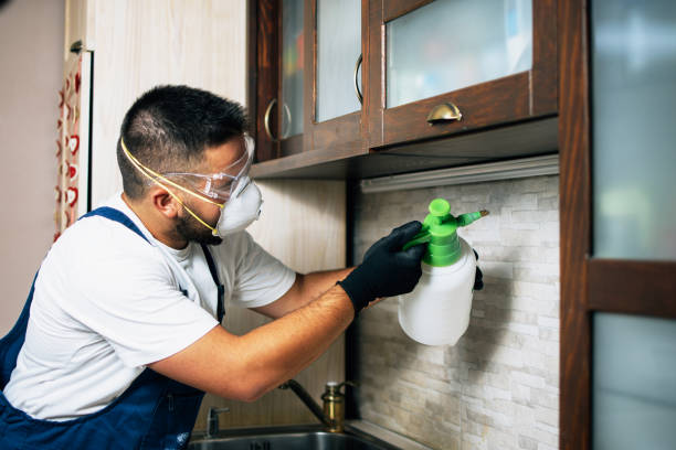 Best Bed Bug Extermination  in Lake Nacimiento, CA
