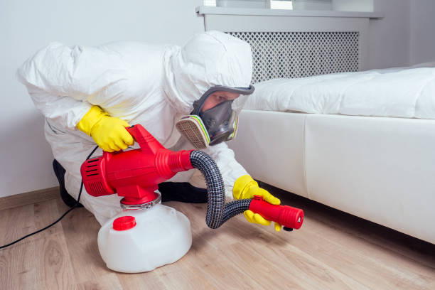 Best Flea Control Services  in Lake Nacimiento, CA