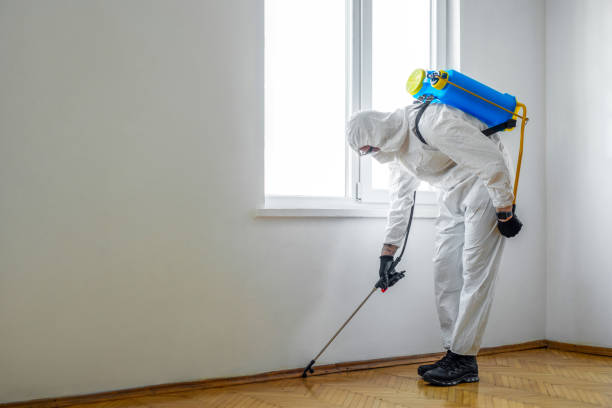 Best Affordable Pest Control Services  in Lake Nacimiento, CA