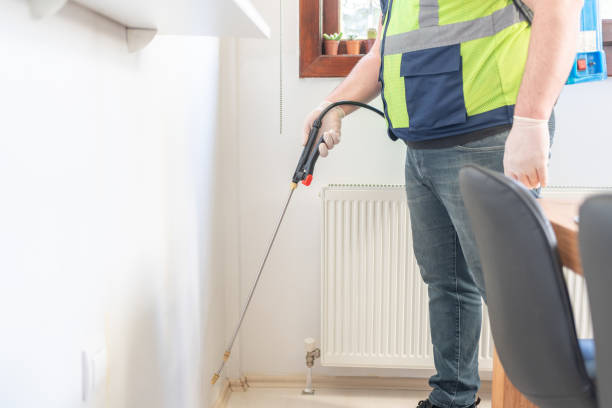 Best Mosquito Control Services  in Lake Nacimiento, CA