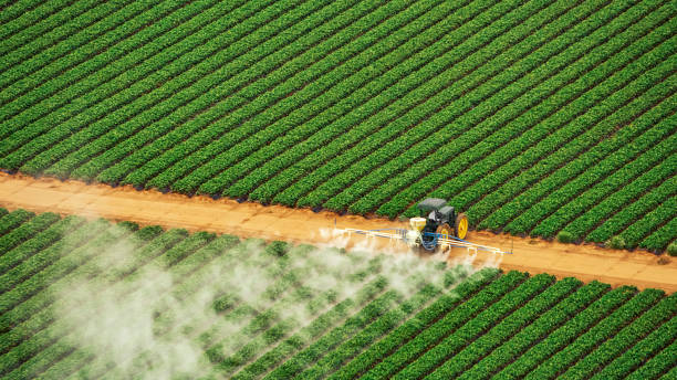 Best Pest Removal Services  in Lake Nacimiento, CA