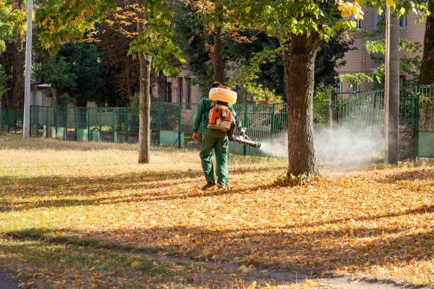 Best Termite Control Services  in Lake Nacimiento, CA