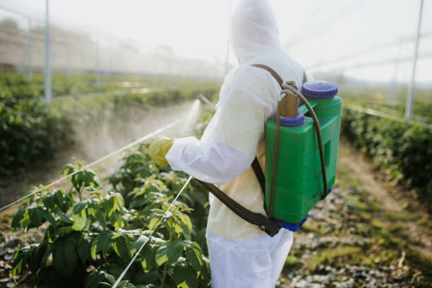 Best Pest Inspection Near Me  in Lake Nacimiento, CA
